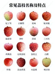 -Oasis Beauty水磨坊科技美肤中心
