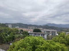 -福道
