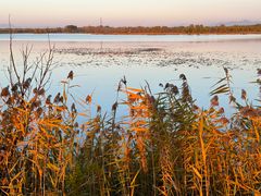 -野鸭湖国家湿地公园
