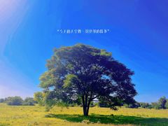 -汉长安城未央宫国家考古遗址公园