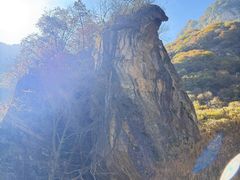 -少华山国家森林公园