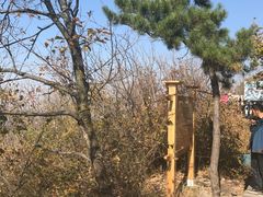 -帽儿山国家森林公园