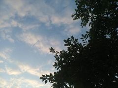 -维乐口腔医院(星海湾分院)