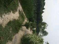江湾湿地公园-新江湾城公园