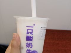 -一只酸奶牛(时代天街A馆店)
