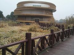 -荷塘月色湿地公园·向阳花洲