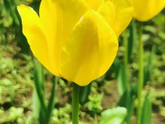 -长春公园(普阳街道)