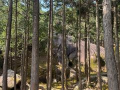 -玉苍山国家森林公园