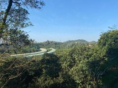 -深圳仙湖植物园