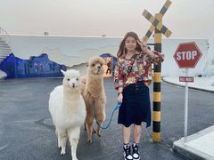 -Blue Concept Cafe&Farm·關於藍