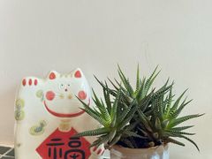 -知亘茶食