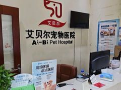 -艾贝尔宠物医院 ·内科全科(梁溪路店)
