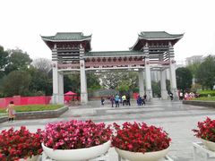 -王借岗森林公园