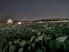 -杭州市上城区湖滨街道社区卫生服务中心