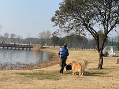 -蠡湖大桥公园