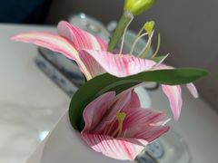 -船歌·鱼水饺青岛菜(枫蓝国际购物中心店)