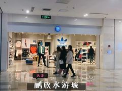-鹏欣水游城