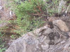 -北京上方山国家森林公园