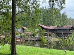 -黄海国家森林公园