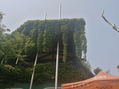 油爆虾-得丘礼享谷·玉兰苑