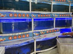 -黄记大闸蟹专卖店·活蟹·醉蟹