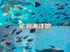 -长鹿旅游休博园