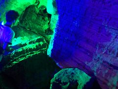 -梦幻奥陶纪景区