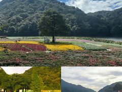 -广州市石门国家森林公园