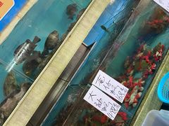 水产区-棠记海鲜餐厅(南朗镇店)