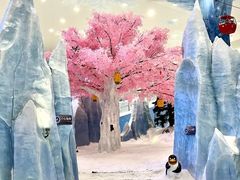 -长沙湘江欢乐雪域