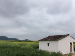 -光明小镇欢乐田园