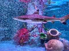 -沈阳海洋探索中心