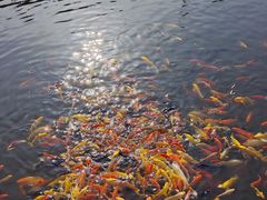 -昆嵛山石门里景区