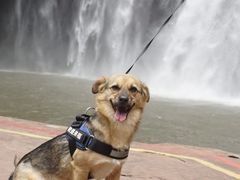 -赤水丹霞旅游区·大瀑布