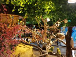 -酷嗒动物文化乐园(cutezoo西溪乐天城店)