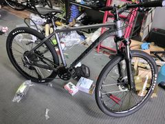 -道路口单车爱瓦士dahon大行