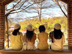 -田野绿世界