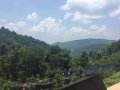 -清迈丛林飞跃 JungleFlight