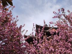 -西安青龙寺遗址景区