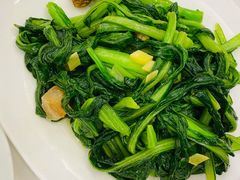 油渣有机菜心-围龙屋客家食府(福田店)