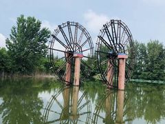 -泗洪洪泽湖湿地景区