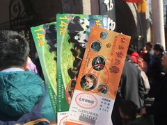 门票-北京动物园