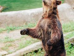 -杭州野生动物世界