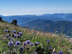 -白草畔自然风景区