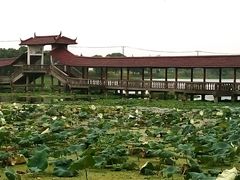 -金龟岛渔村