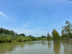 -池杉湖湿地公园