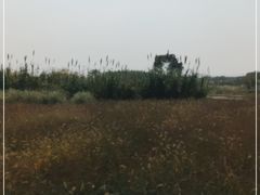 -下渚湖国家湿地公园科普馆