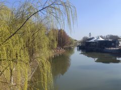 -江滩湿地公园