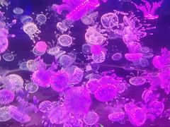 -南昌融创海世界