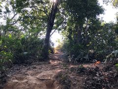 -梧桐山风景名胜区